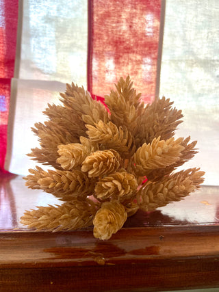 Hops Half Sphere Fall Decor
