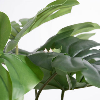 18K Gold PVD Stainless Steel White Heart Stud Earrings