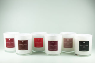 The Seasonal Edit – Peppermint Mocha Soy Candle