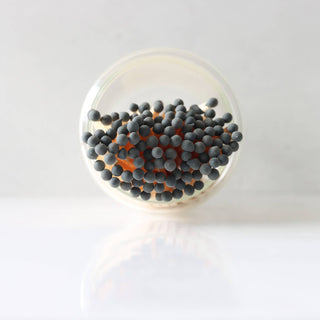 Black Fireplace Matches in Wood Lid Jar: Halloween decor