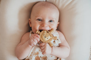 Ritzy Teether™ Baby Molar Teether: Bunny