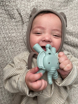 Ritzy Teether™ Baby Molar Teether: Lion