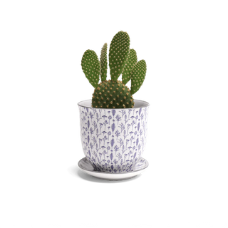 Liberte Porcelain Pot & Saucer Set w/Drainage Blue Feathers