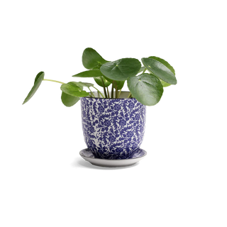 Liberte Porcelain Pot & Saucer Set w/Drainage Blue Leaves
