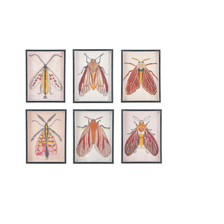 Moth Wall Art