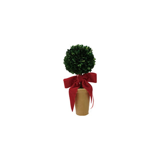 Dried boxwood tree in terra-cotta pot with red velvet bow by Creative Co-op