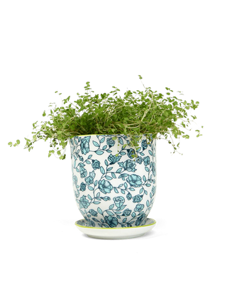 Liberte Porcelain Pot & Saucer Set w/Drainage Green Flowers